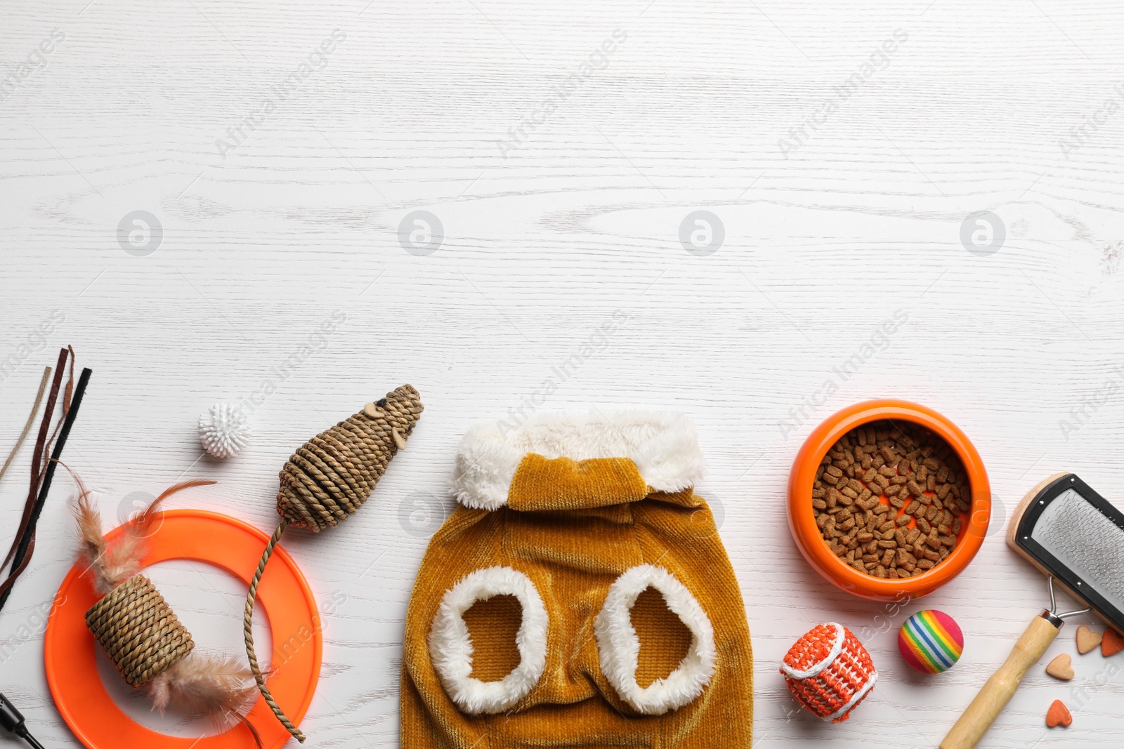 Photo of Flat lay composition with cat clothes, food and accessories on white wooden table. Space for text