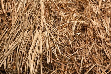 Photo of Closeup of dried hay as background, top view