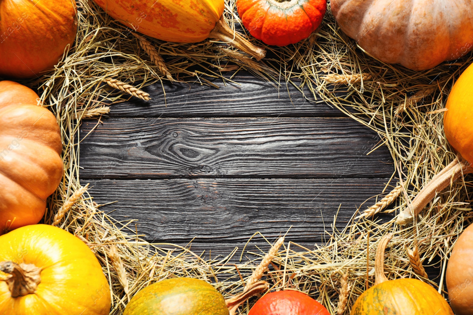 Photo of Flat lay composition with different ripe pumpkins on wooden background, space for text. Holiday decoration