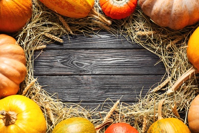 Flat lay composition with different ripe pumpkins on wooden background, space for text. Holiday decoration