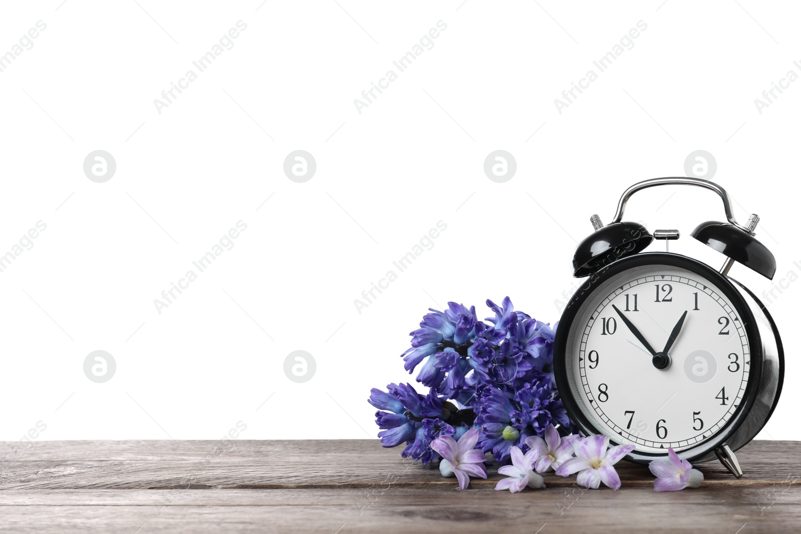 Photo of Black alarm clock and spring flowers on wooden table against white background, space for text. Time change