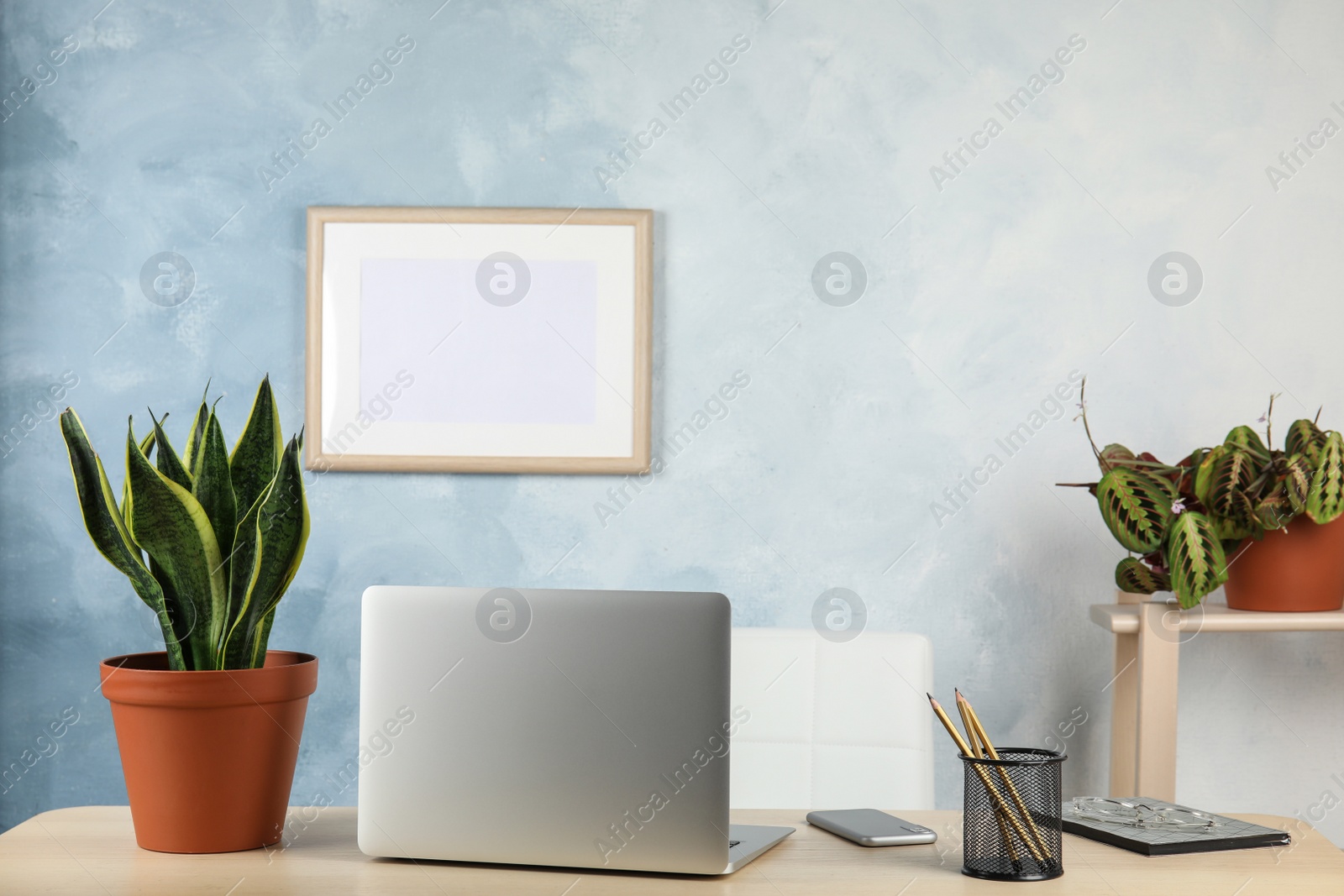 Photo of Office interior with houseplants and laptop on table