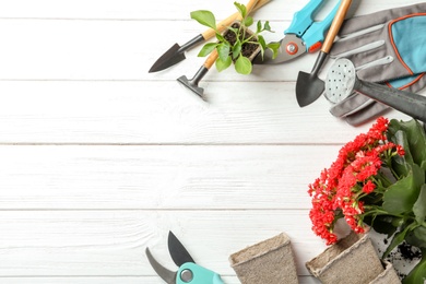 Photo of Flat lay composition with plants and professional gardening tools on wooden background