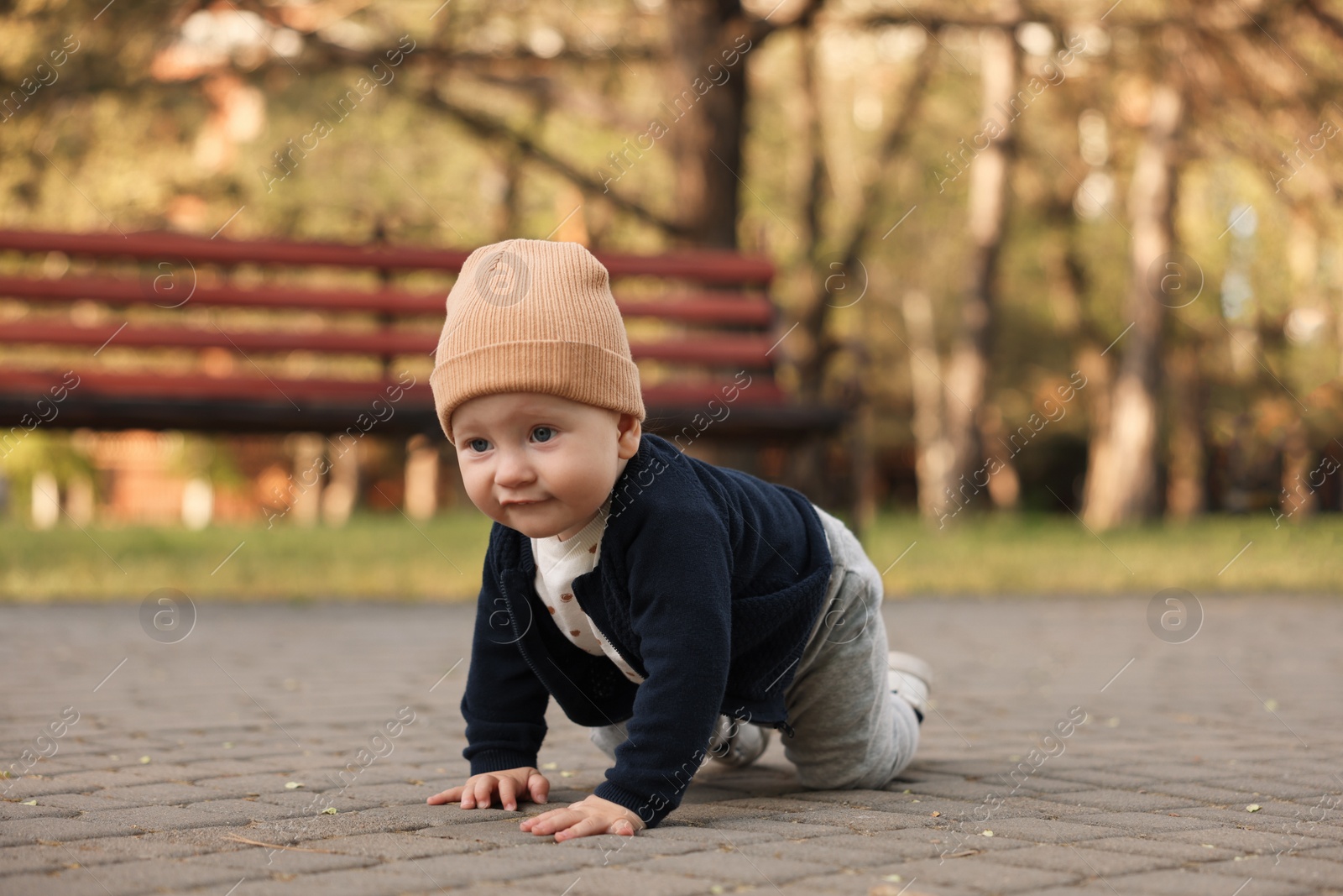 Photo of Learning to walk. Little baby crawling in park