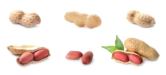 Set with tasty peanuts on white background. Banner design