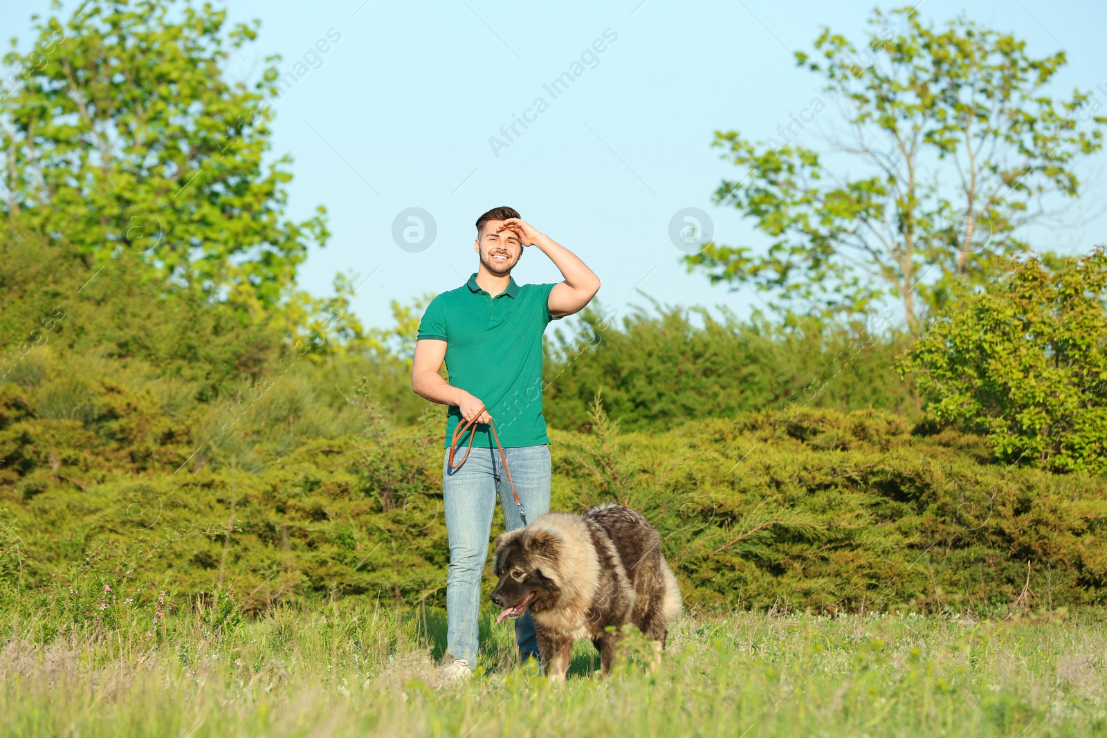 Photo of Young man walking his Caucasian Shepherd dog in park