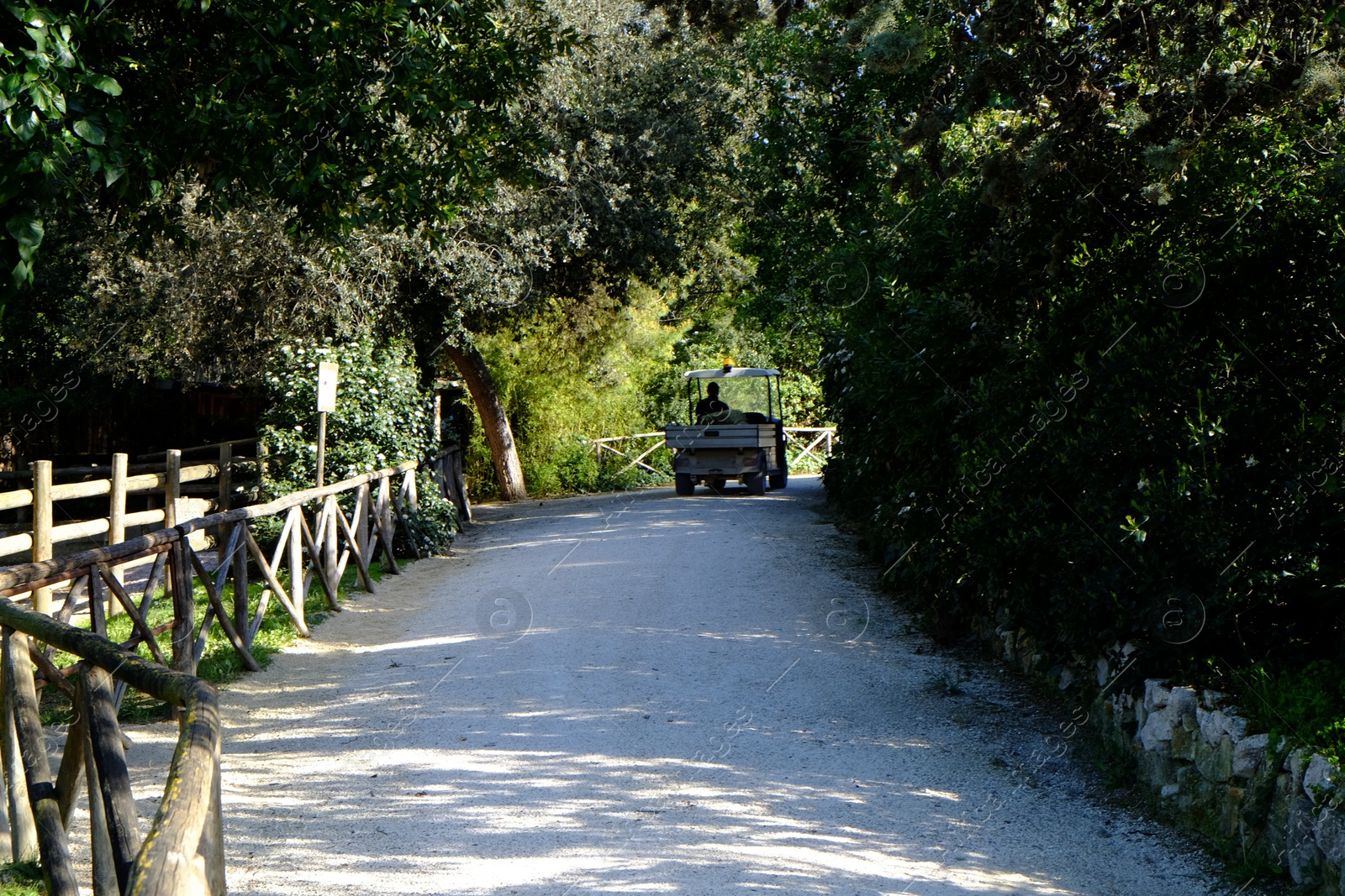 Photo of Beautiful pathway between trees outdoors on sunny day