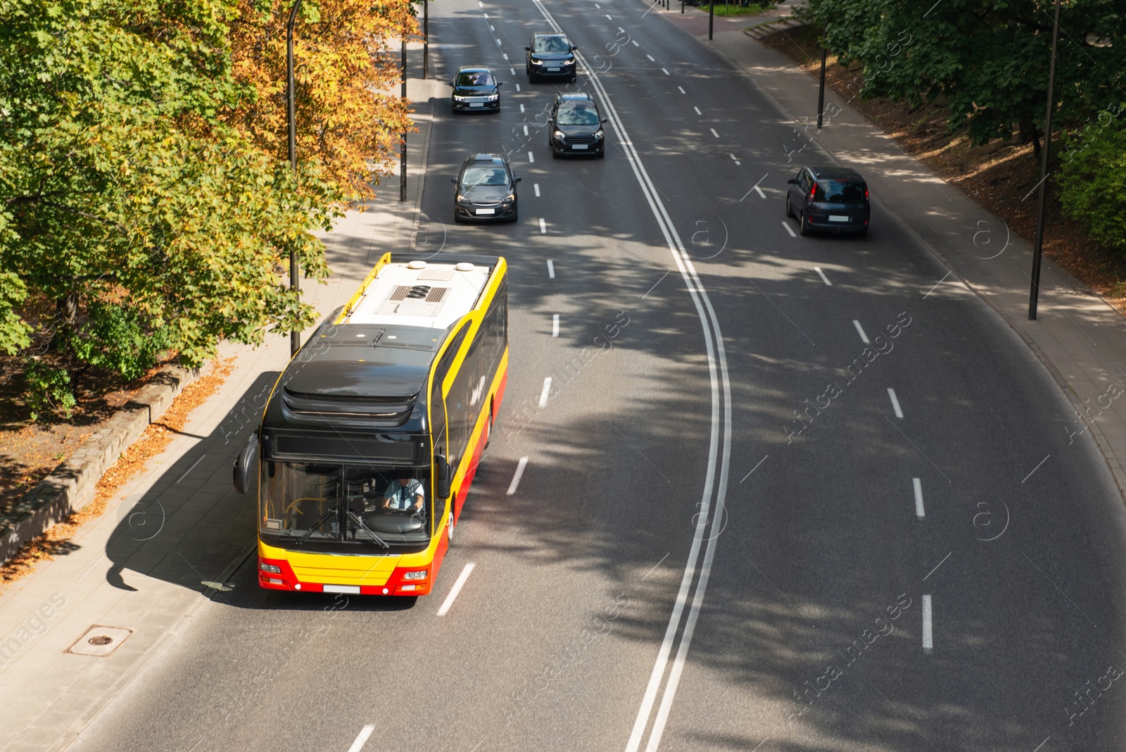 Photo of Bus on road in city. Public transport