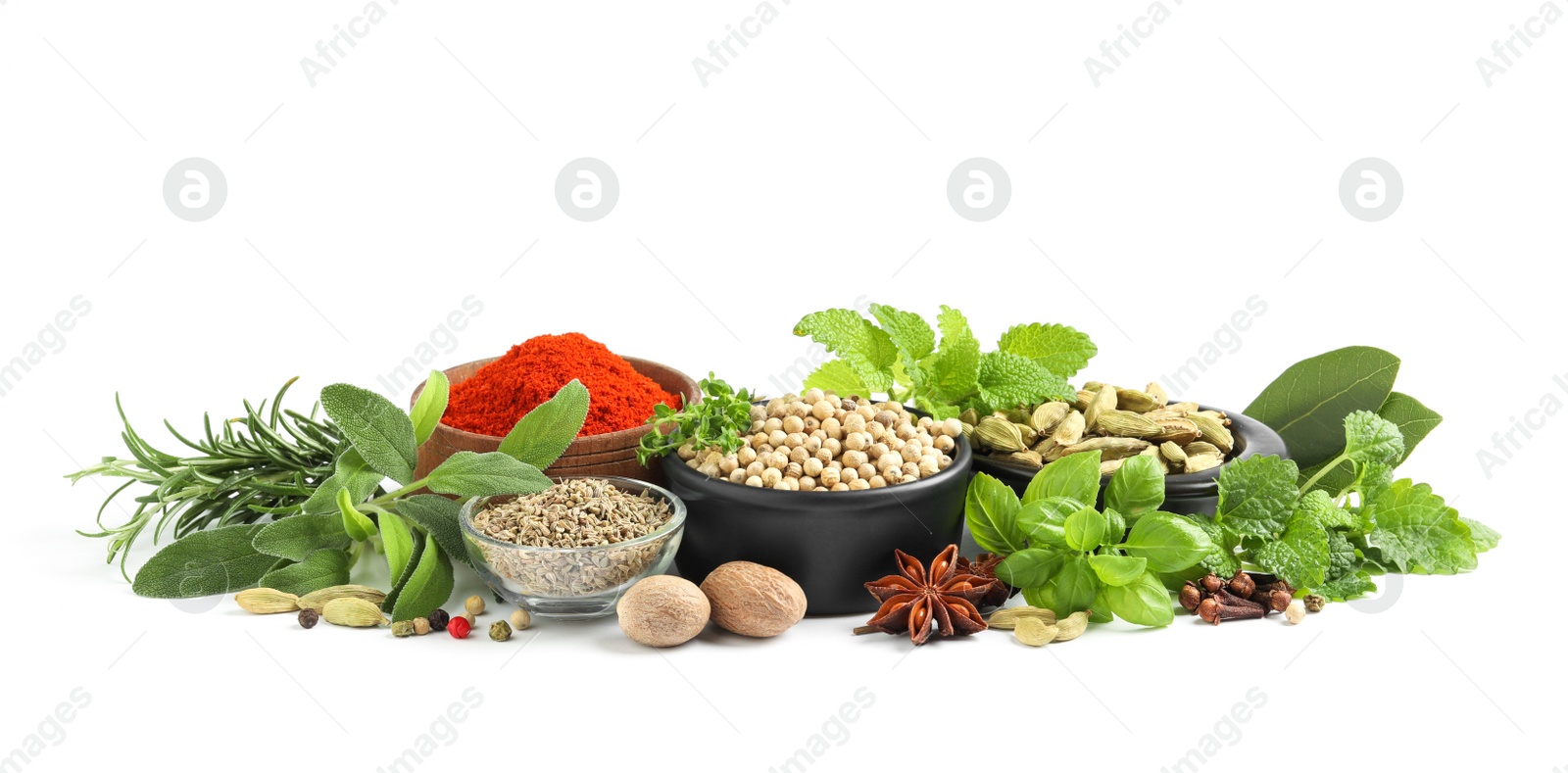 Photo of Different fresh herbs with aromatic spices on white background