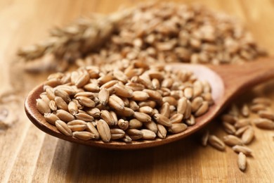 Photo of Spoon of wheat grains on wooden table, closeup