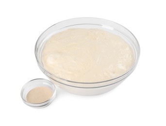 Fresh dough for cake and dry yeast on white background