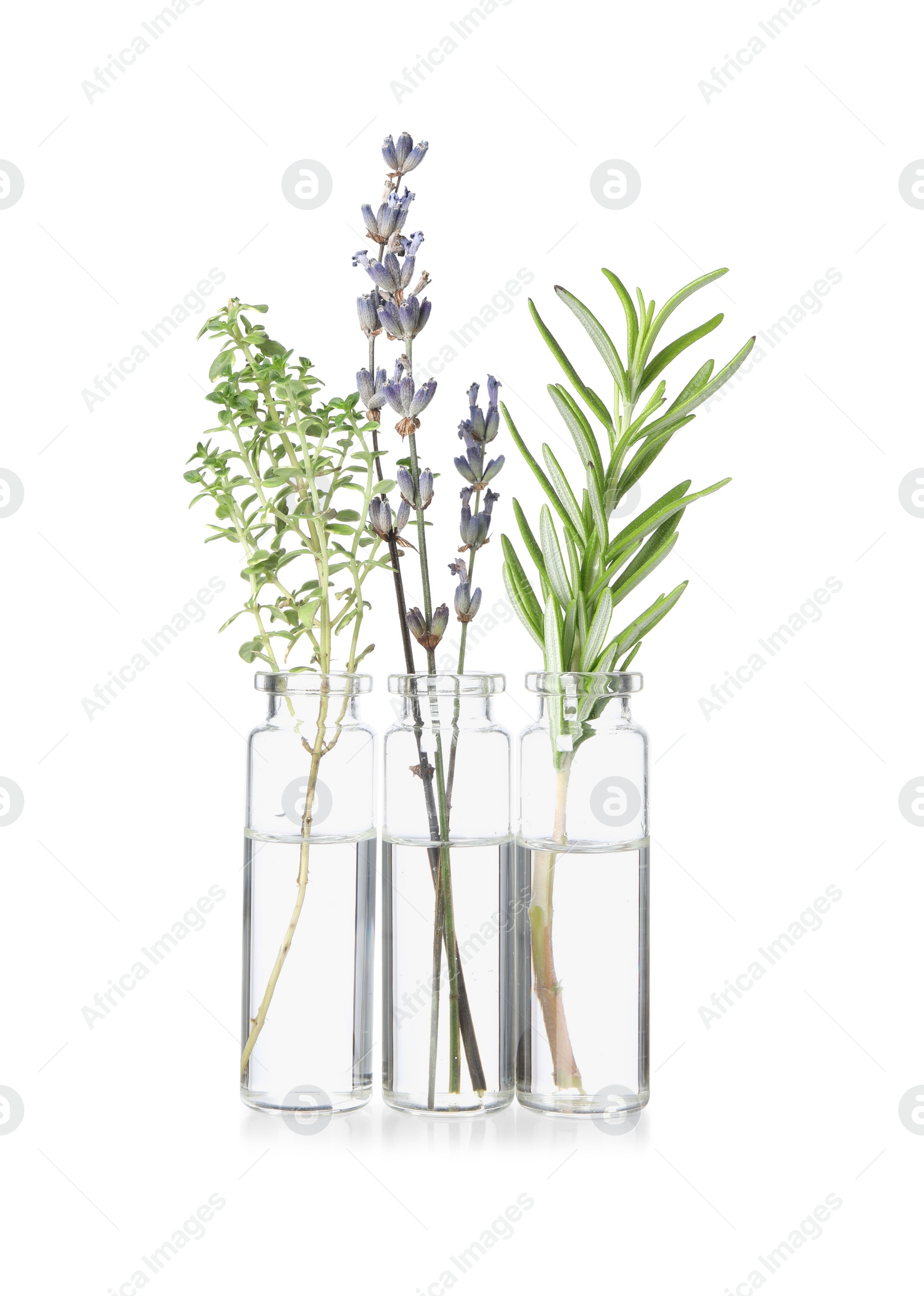 Photo of Bottles with essential oils and plants isolated on white