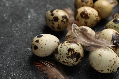 Photo of Speckled quail eggs and feathers on black textured table, closeup