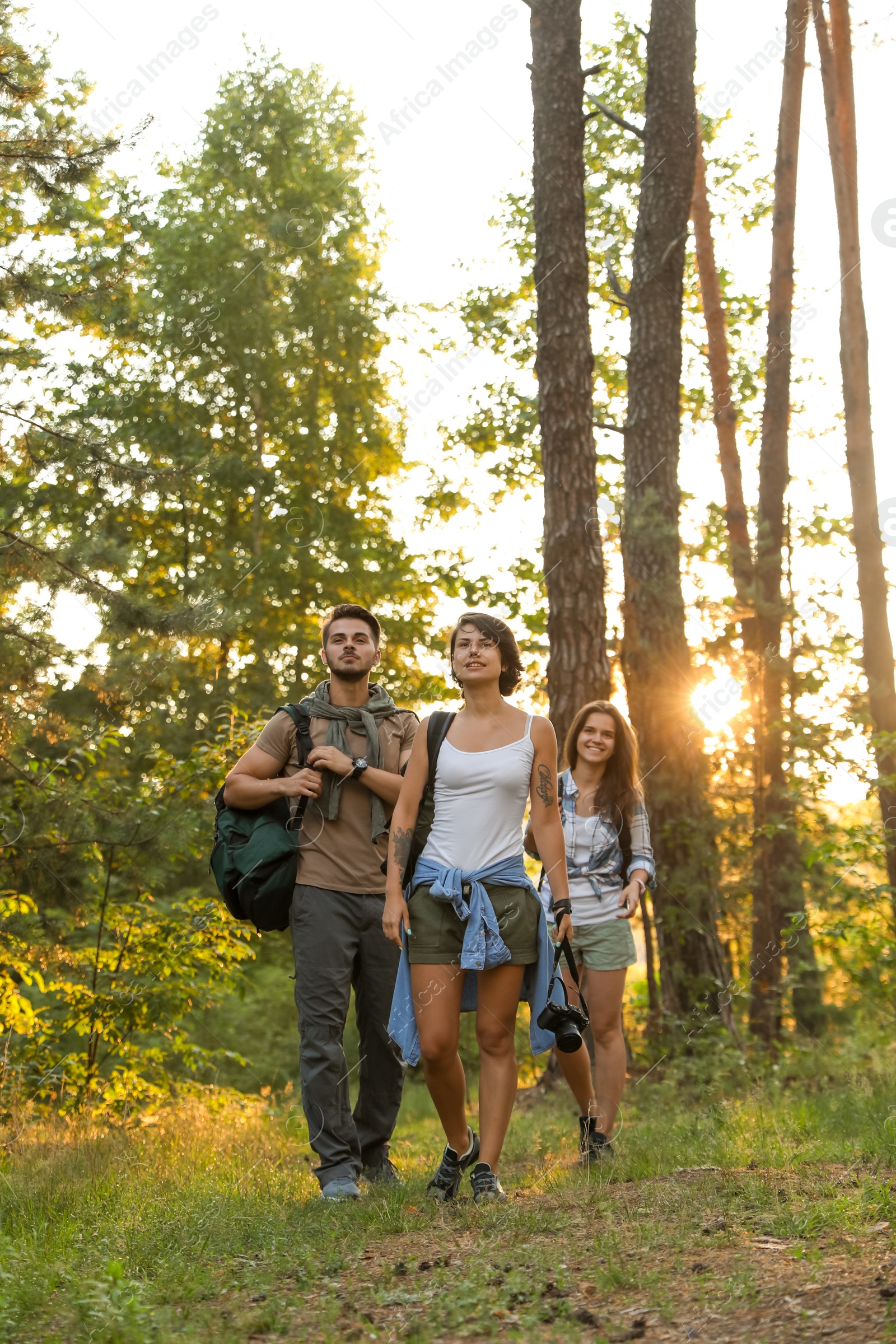 Photo of Young friends in forest on summer day. Camping season