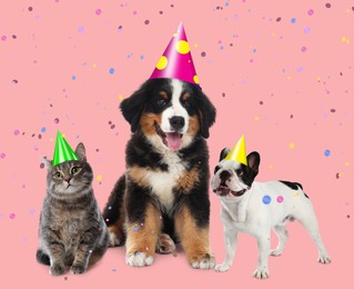 Adorable pets with party hats on pink background 