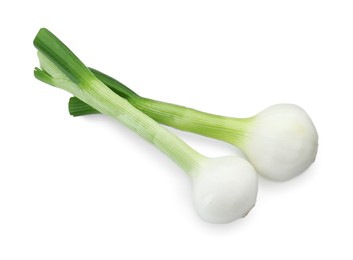 Photo of Whole green spring onions isolated on white