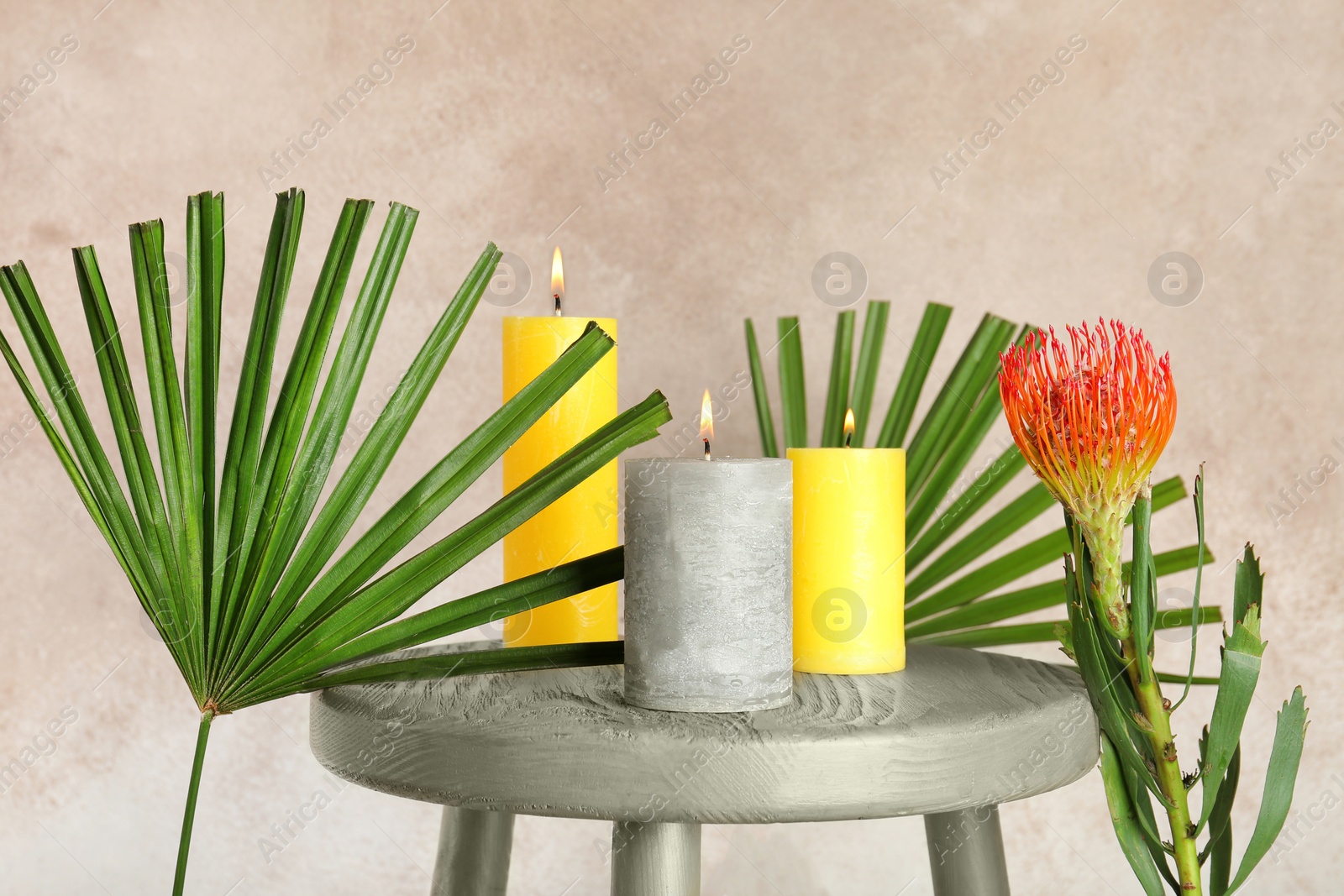 Photo of Creative composition with candles and tropical plants on color background