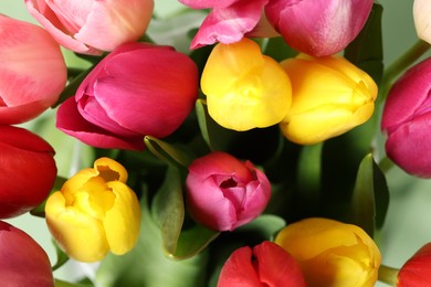 Photo of Beautiful colorful tulip flowers as background, closeup