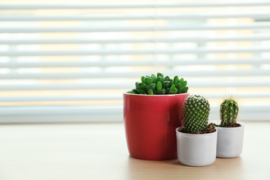 Photo of Window with blinds and potted plants on sill, space for text