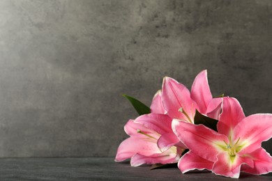 Beautiful pink lily flowers on grey table, space for text