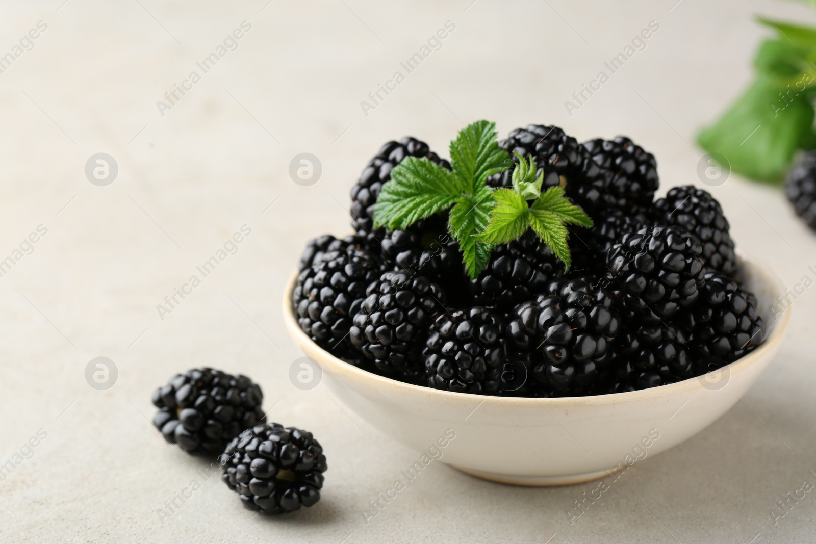 Photo of Bowl of fresh blackberries with leaves on white table