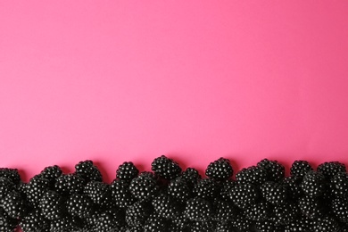 Photo of Flat lay composition with ripe blackberries on pink background. Space for text