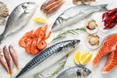 Photo of Fresh fish and seafood on ice, flat lay