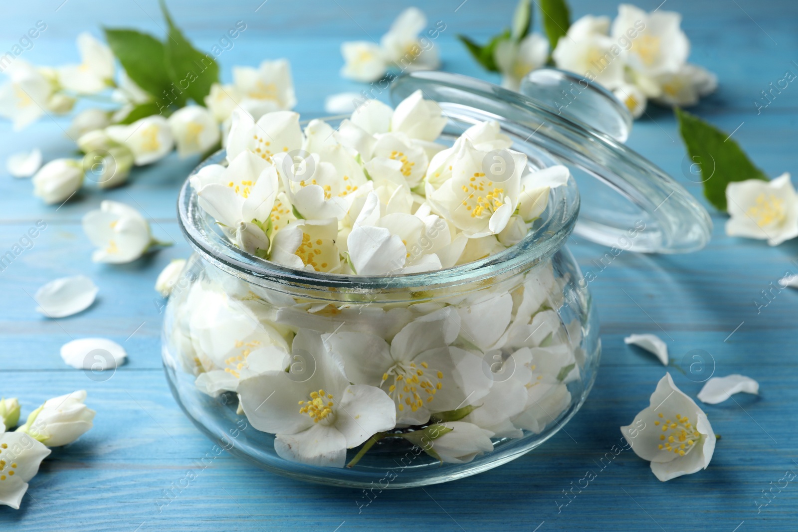 Photo of Beautiful jasmine flowers in glass jar on light blue wooden table