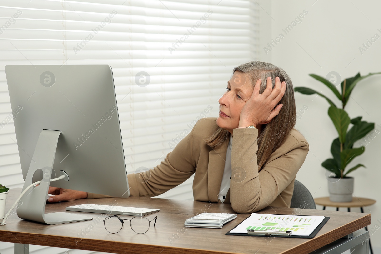 Photo of Senior accountant working at wooden desk in office