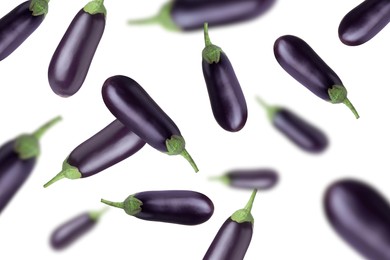 Fresh whole eggplants falling on white background