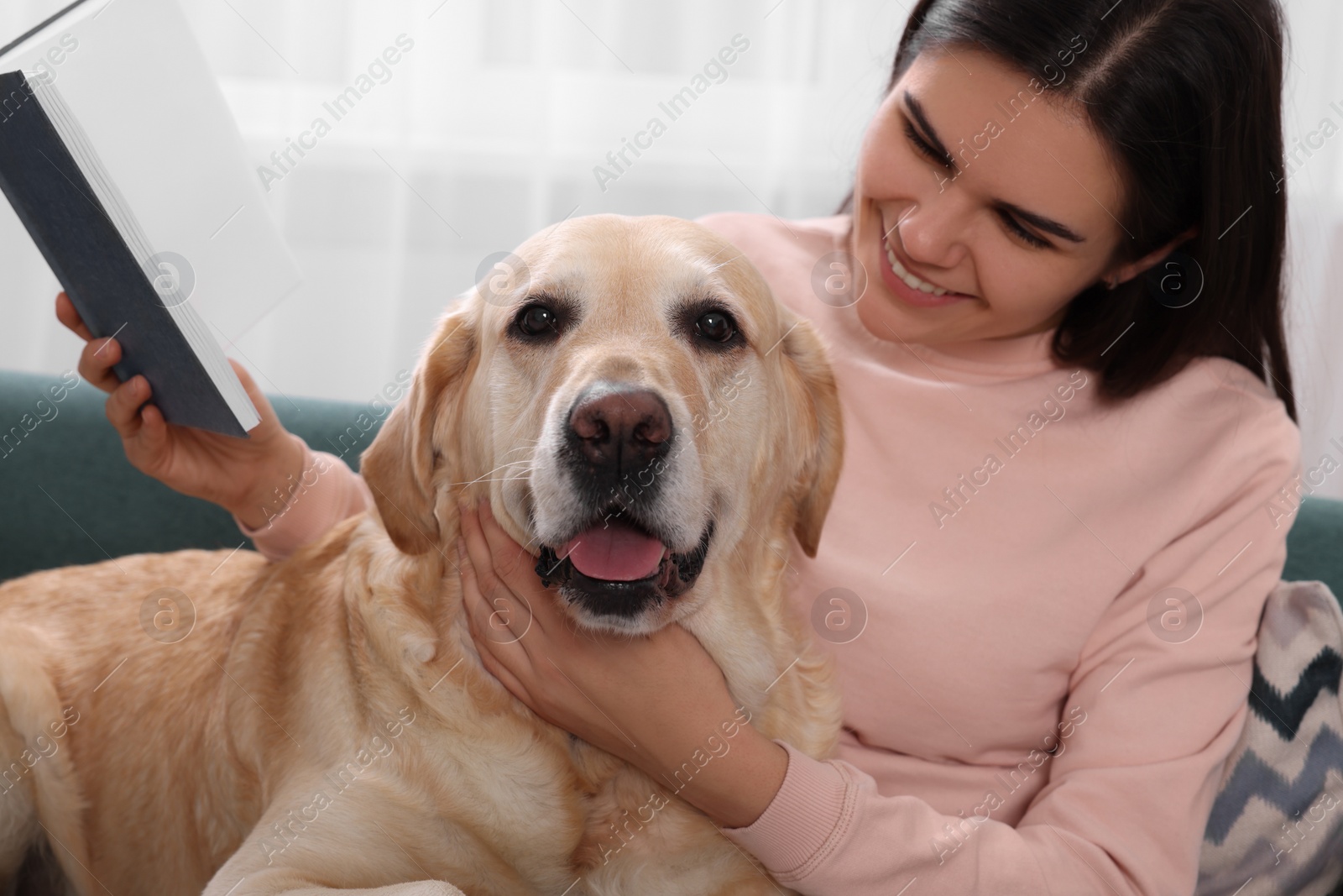 Photo of Happy woman sitting with cute Labrador Retriever on sofa at home