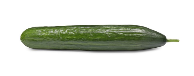 Photo of One long fresh cucumber isolated on white