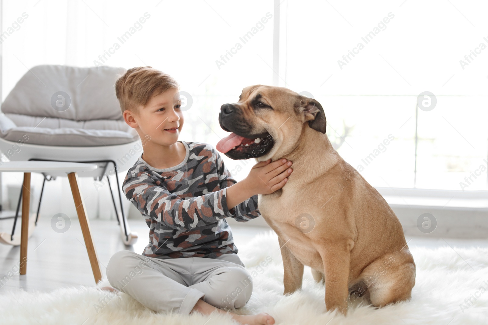 Photo of Cute little child with his dog at home