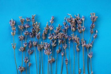 Photo of Beautiful lavender flowers on blue background, flat lay