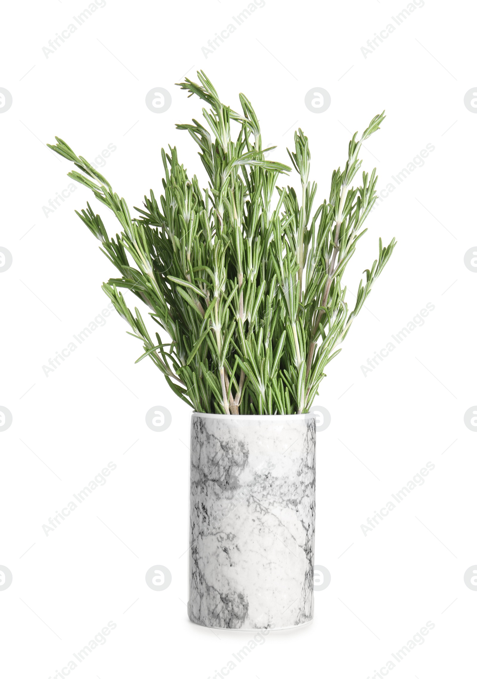 Photo of Fresh green rosemary in vase on white background. Aromatic herbs