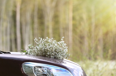 Beautiful meadow flowers on car hood in forest