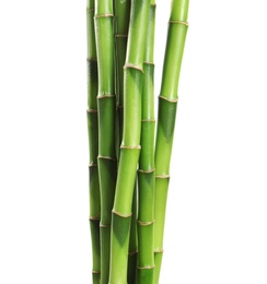 Photo of Beautiful green bamboo stems on white background