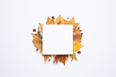 Flat lay composition with autumn leaves and blank card on white background, space for text