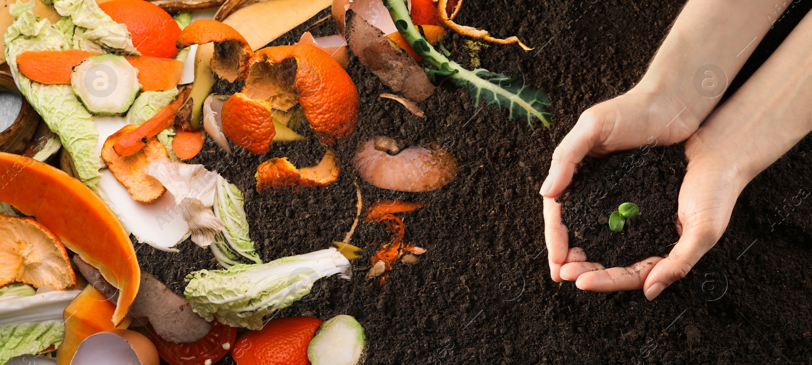 Image of Organic waste for composting on soil and woman holding green seedling, top view. Natural fertilizer 