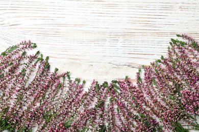 Heather branches with beautiful flowers on white wooden table, flat lay. Space for text