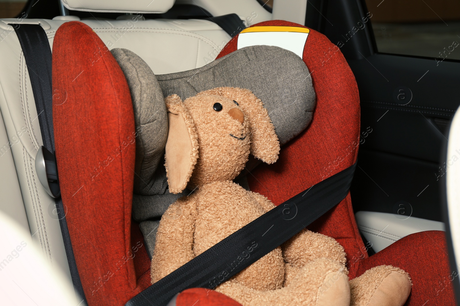 Photo of Safety seat for baby with cute toy rabbit