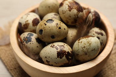 Photo of Speckled quail eggs and feathers on table, closeup view