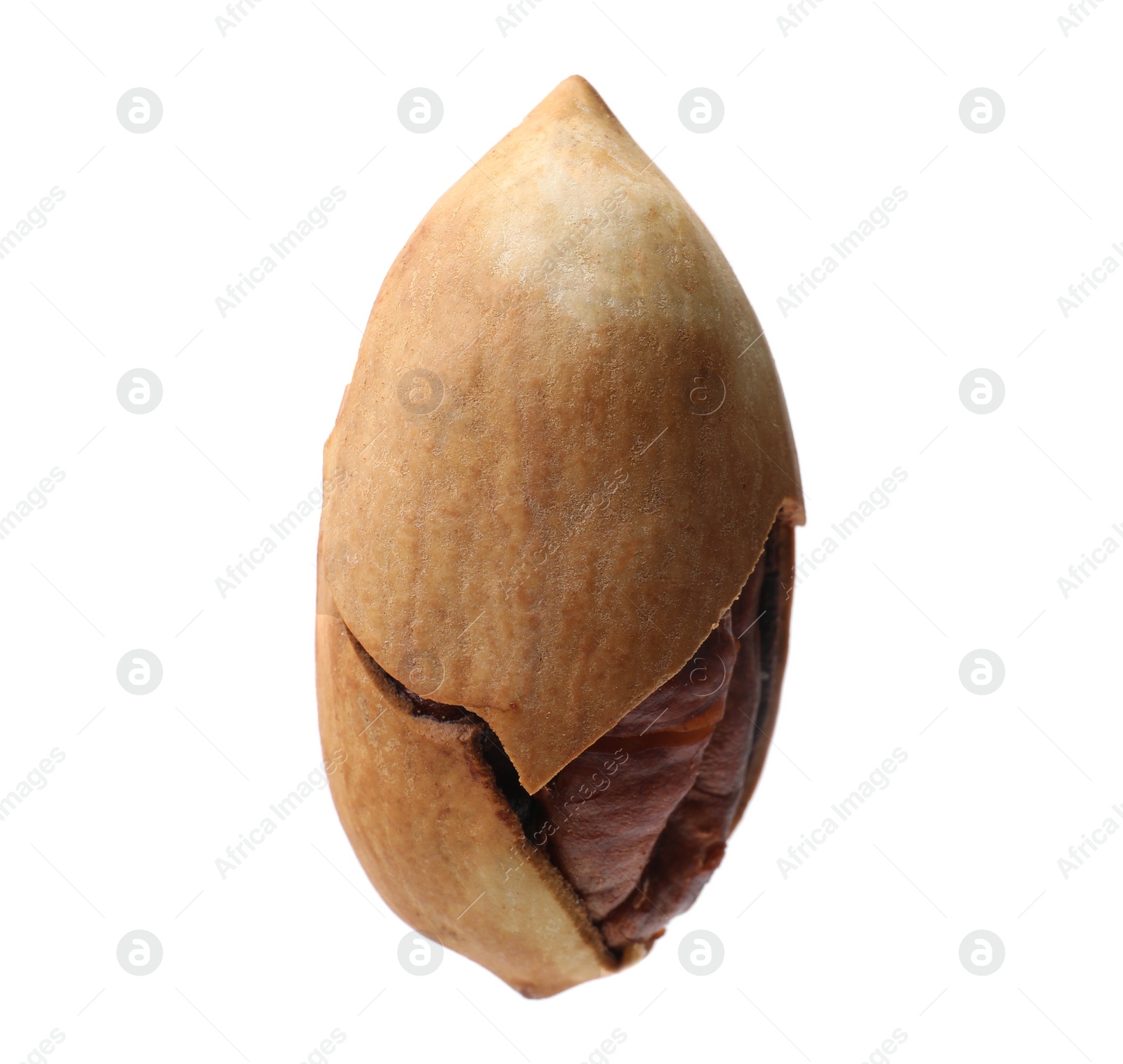 Photo of Tasty pecan nut with shell isolated on white