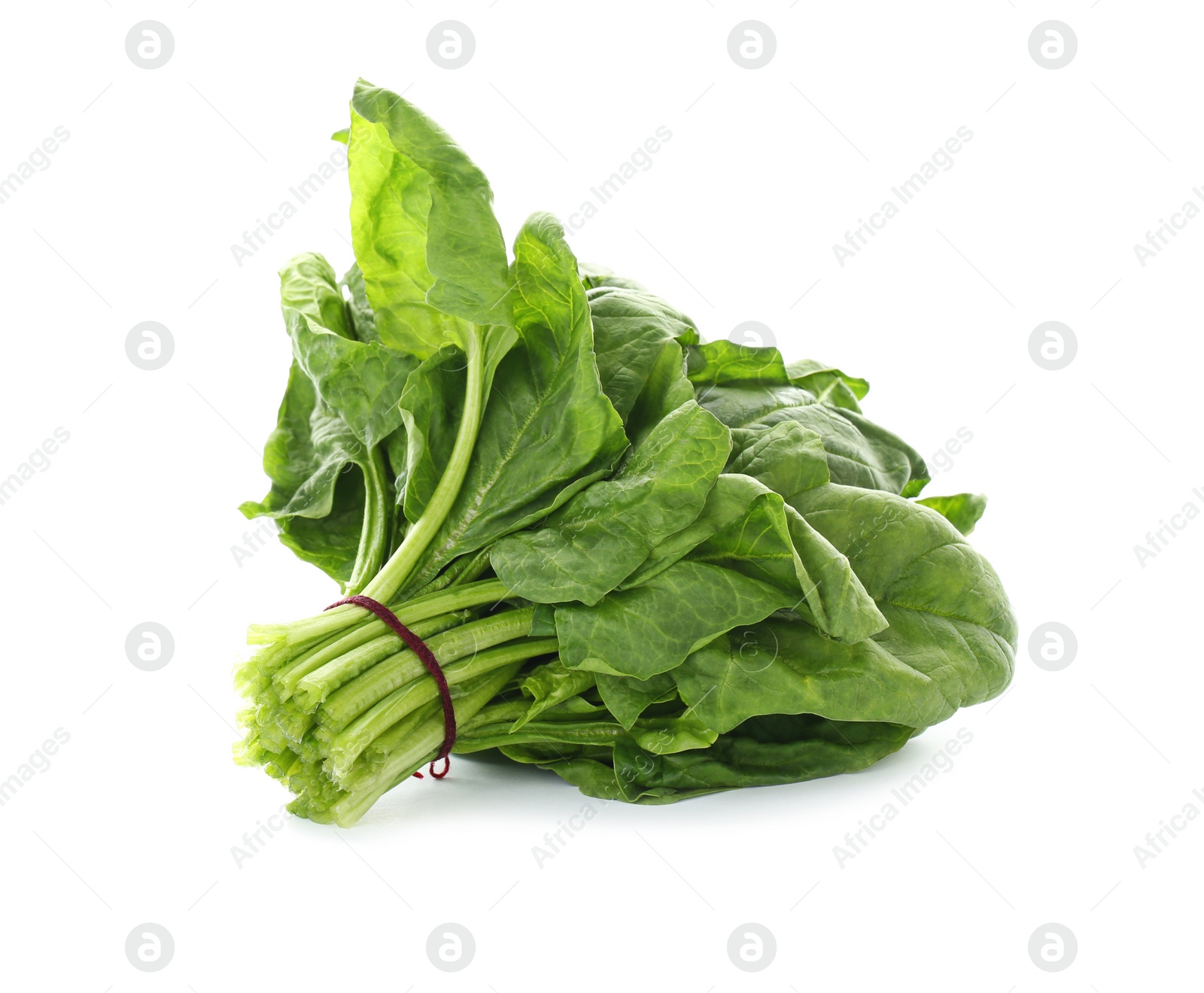 Photo of Bundle of fresh spinach isolated on white