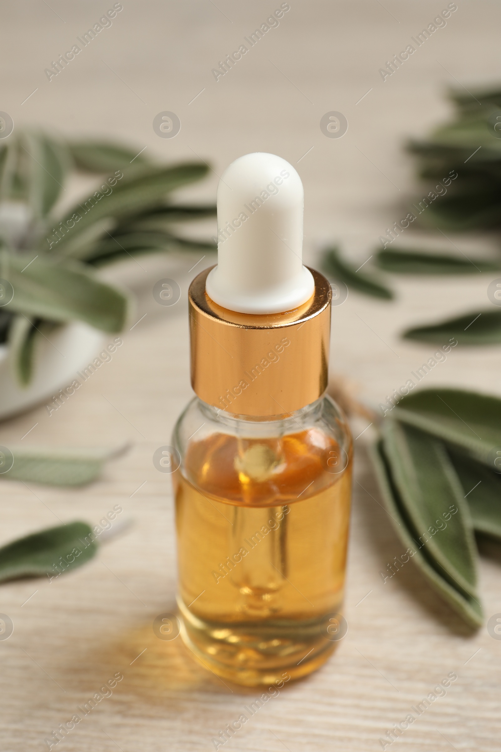 Photo of Bottle of essential sage oil, plant twigs and leaves on wooden table, closeup