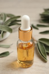 Bottle of essential sage oil, plant twigs and leaves on wooden table, closeup