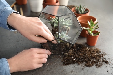 Woman transplanting home plants into florarium at table, closeup