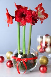 Beautiful red amaryllis flowers and Christmas decor on white table