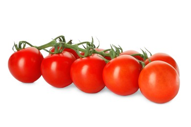 Photo of Branch of red ripe cherry tomatoes isolated on white