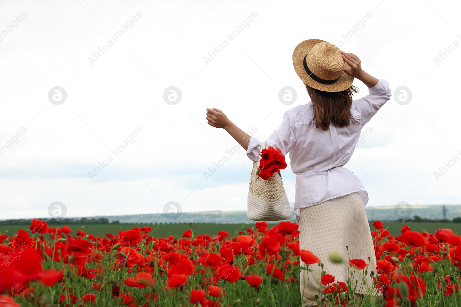 Photo of Woman with handbag and poppy flowers in beautiful field